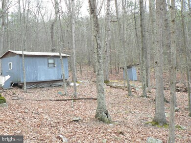 37 ACS Greenwalt Gap, Upper Tract, WV 26866 - photo 5