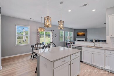 481 Zoe Bee Dr, Clover, SC 29710 - photo 3