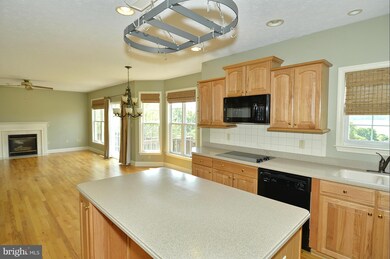 1231 Apple Pie Ridge Rd, Winchester, VA 22603 - photo 5