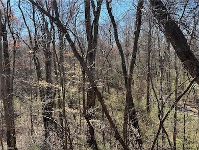 0 Nc Highway 67 unit 1174645, East Bend, NC 27018 - photo 4