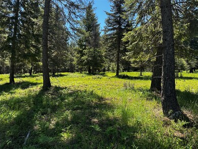 Nhn Three Corners Rd S, Trout Creek, MT 59874 - photo 6