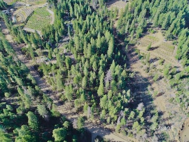 920 Chrome Mine, Hayfork, CA 96041 - photo 3