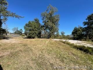Looking North from the South end of the lot.