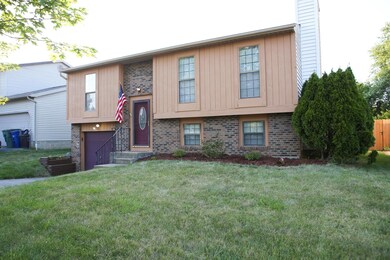 House-IMG_4261 (1)