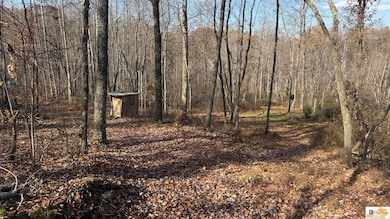 527 Chestnut Grove Cemetery Rd, Bonnieville, KY 42713 - photo 4