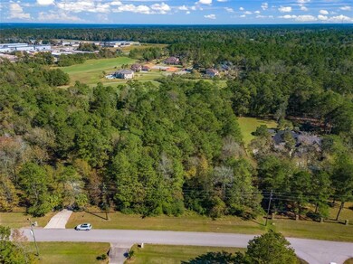 32511 Pebble Bend Way, Magnolia, TX 77354 - photo 2