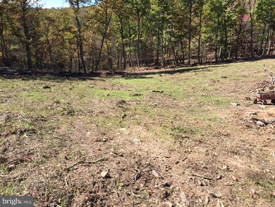 0 Hershel Ln unit 1000563629, Hedgesville, WV 25427 - photo 6