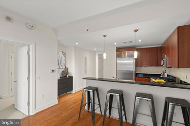 The Columbia Residences unit 333, Washington, DC 20037 - photo 7