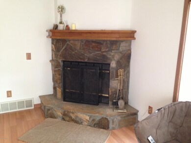 Wood Burning Fireplace