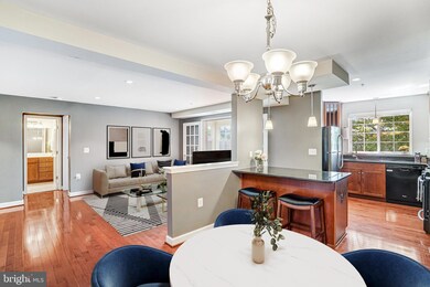 4129 S Four Mile Run Dr unit 302, Arlington, VA 22204 - photo 3