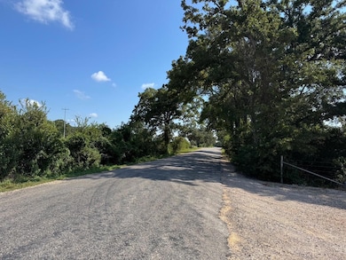 13115 Schoenemann Rd, Carmine, TX 78932 - photo 2