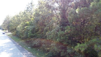 TBD Alexandria Dr, Conroe, TX 77302 - photo 4