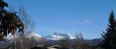 View 2