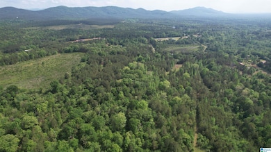 0 Armstrong Mountain Ln unit 21405929, Talladega, AL 35160 - photo 2