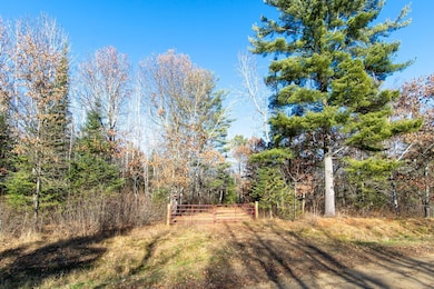 TBD Lot 3 Frustration Ln, Park Rapids, MN 56470 - photo 6