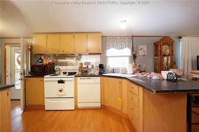 90 Chambers Dr, Danville, WV 25053 - photo 6