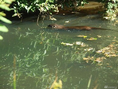 159 Johnson Rd W, Onalaska, WA 98570 - photo 6