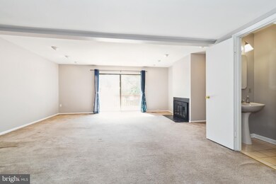 7138 Winter Rose Path, Columbia, MD 21045 - photo 6