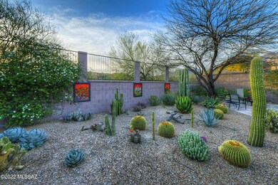 Extraordinary Cactus Garden