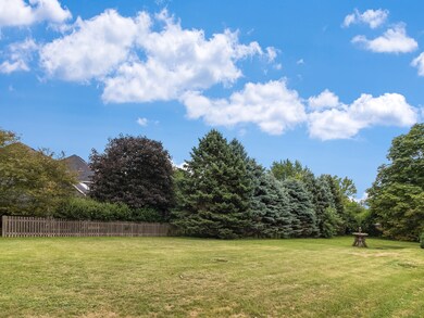 9S371 Modaff Rd, Naperville, IL 60565 - photo 3