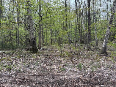 Cree waterfront 4 lots