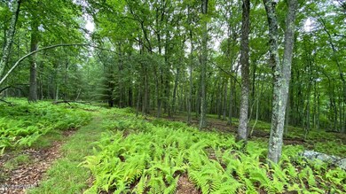 133 Briarcrest Dr, Lackawaxen Township, PA 18428 - photo 5