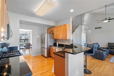 265 Lexington Cir, Broadview Heights, OH 44147 - photo 6