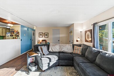 41 Moss Road Trail, Durango, CO 81303 - photo 6