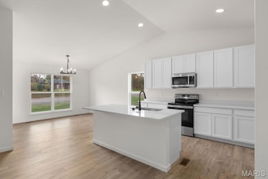 Kitchen featuring stainless steel appliances, lofted ceiling, a kitchen island with sink, light wood-type flooring, and recessed lighting