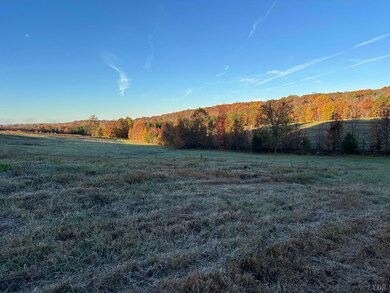 0 McIver Ferry Rd, Gladys, VA 24554 - photo 7