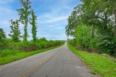 Humpback Bridge Rd, Chester, SC 29712 - photo 3