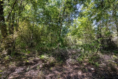 0 NE 108th Ave unit MFRGC522398, Waldo, FL 32694 - photo 5