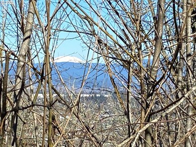 0 SW Lovhar Dr, Gresham, OR 97080 - photo 3