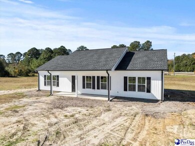 3485 Creech Rd, Marion, SC 29571 - photo 4