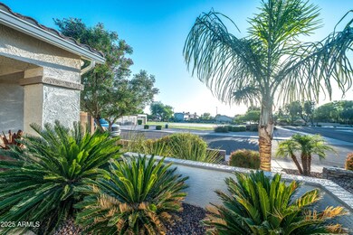 9721 E Juanita Ave, Mesa, AZ 85209 - photo 3