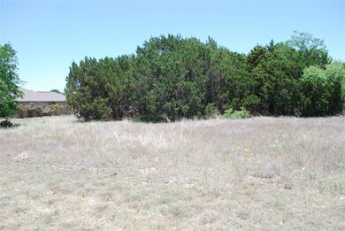4073 Whitecrest Dr, Whitney, TX 76692 - photo 2