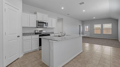 191 Running River Dr, Boyd, TX 76023 - photo 3