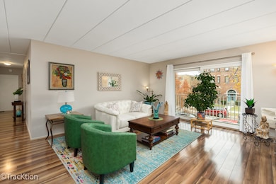 203 N Kenilworth Ave unit 2N, Oak Park, IL 60302 - photo 3