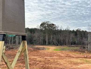 00 Martin Dr, Carthage, MS 39051 - photo 2