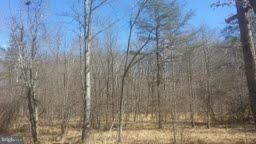 0 Blue Brook Rd unit 1002888482, Berkeley Springs, WV 25411 - photo 7