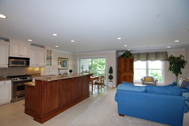 132 N Water St unit 102, Batavia, IL 60510 - photo 5