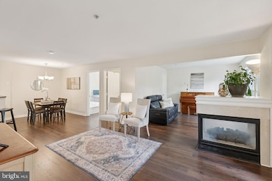 18801 Sparkling Water Dr unit 202, Germantown, MD 20874 - photo 4