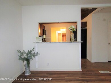 4525 Grove Ave, Holt, MI 48842 - photo 5