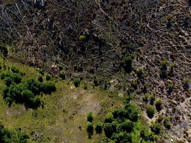 5855 Serenity Ln, Conner, MT 59827 - photo 7