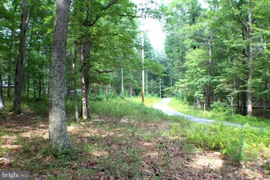 LOT 16 Posy Hill Rd, Wardensville, WV 26851 - photo 2