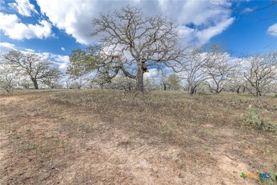TBD County Road 113, Nixon, TX 78140 - photo 5