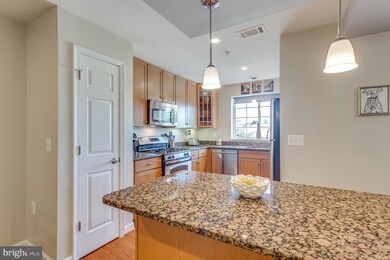 The West Village of Shirlington unit 303, Arlington, VA 22204 - photo 5