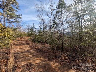 00 Sutton Branch Rd, Sylva, NC 28779 - photo 3