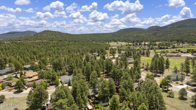 468 S Piping Rock Dr, Williams, AZ 86046 - photo 6