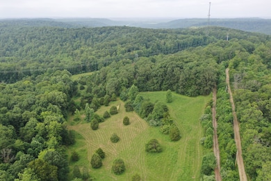 John Ward Rd, Peebles, OH 45660 - photo 5